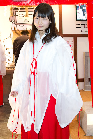 保险公司风险偏好体